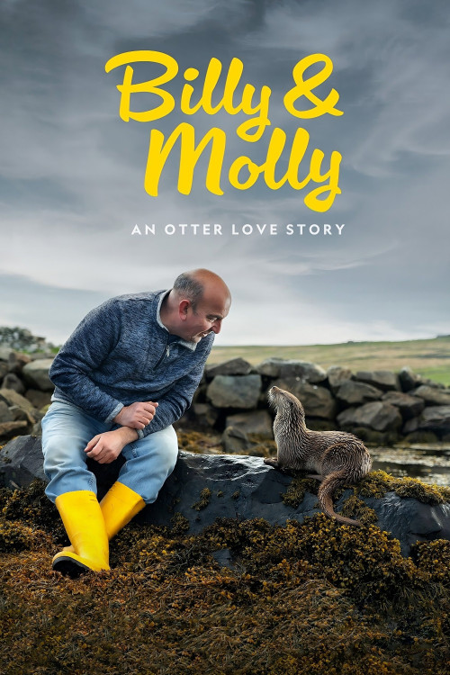 Billy & Molly: An Otter Love Story (2024) poster
