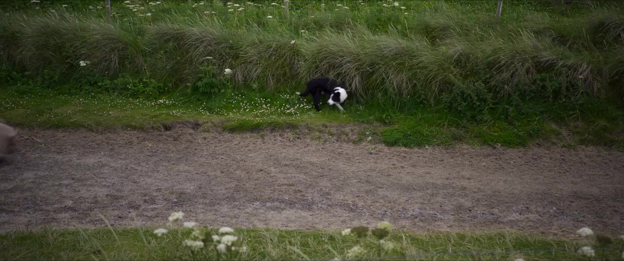 Billy & Molly: An Otter Love Story screenshot 1