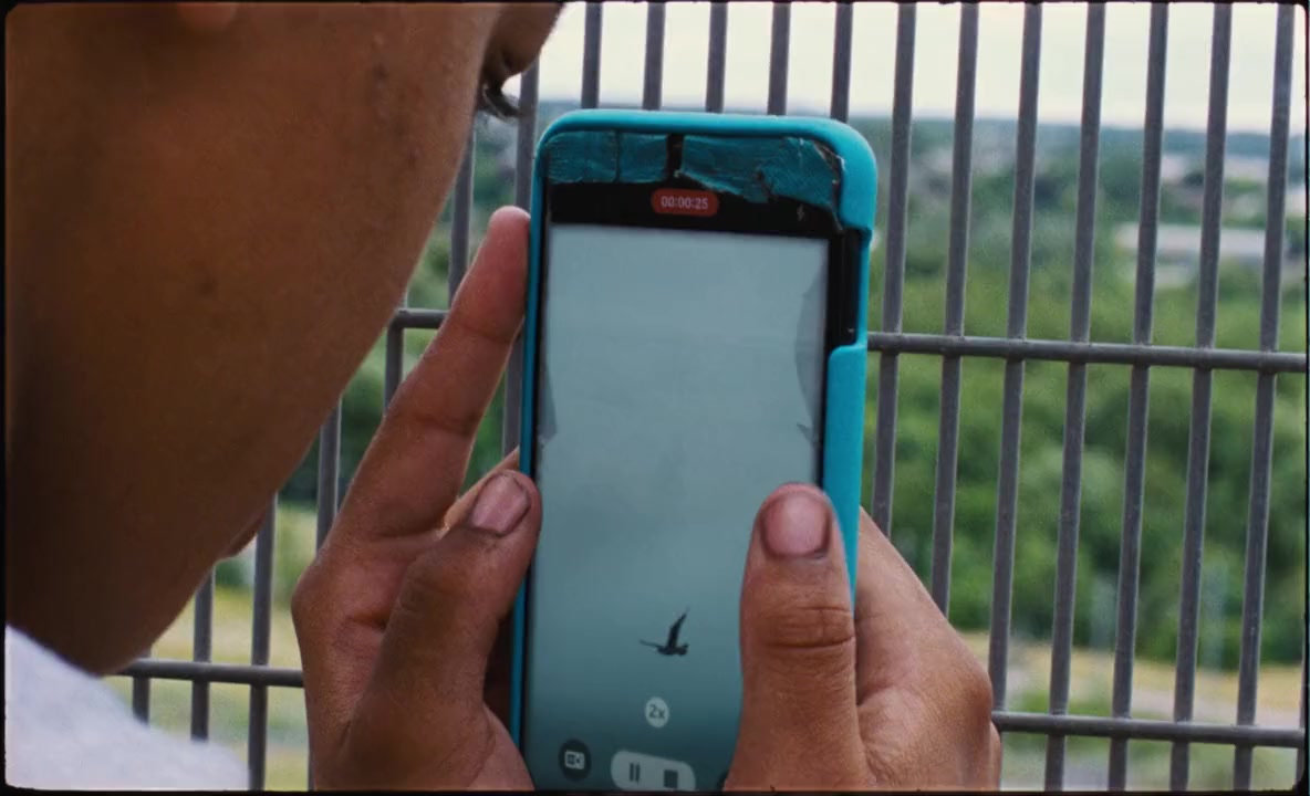 Bird screenshot 3