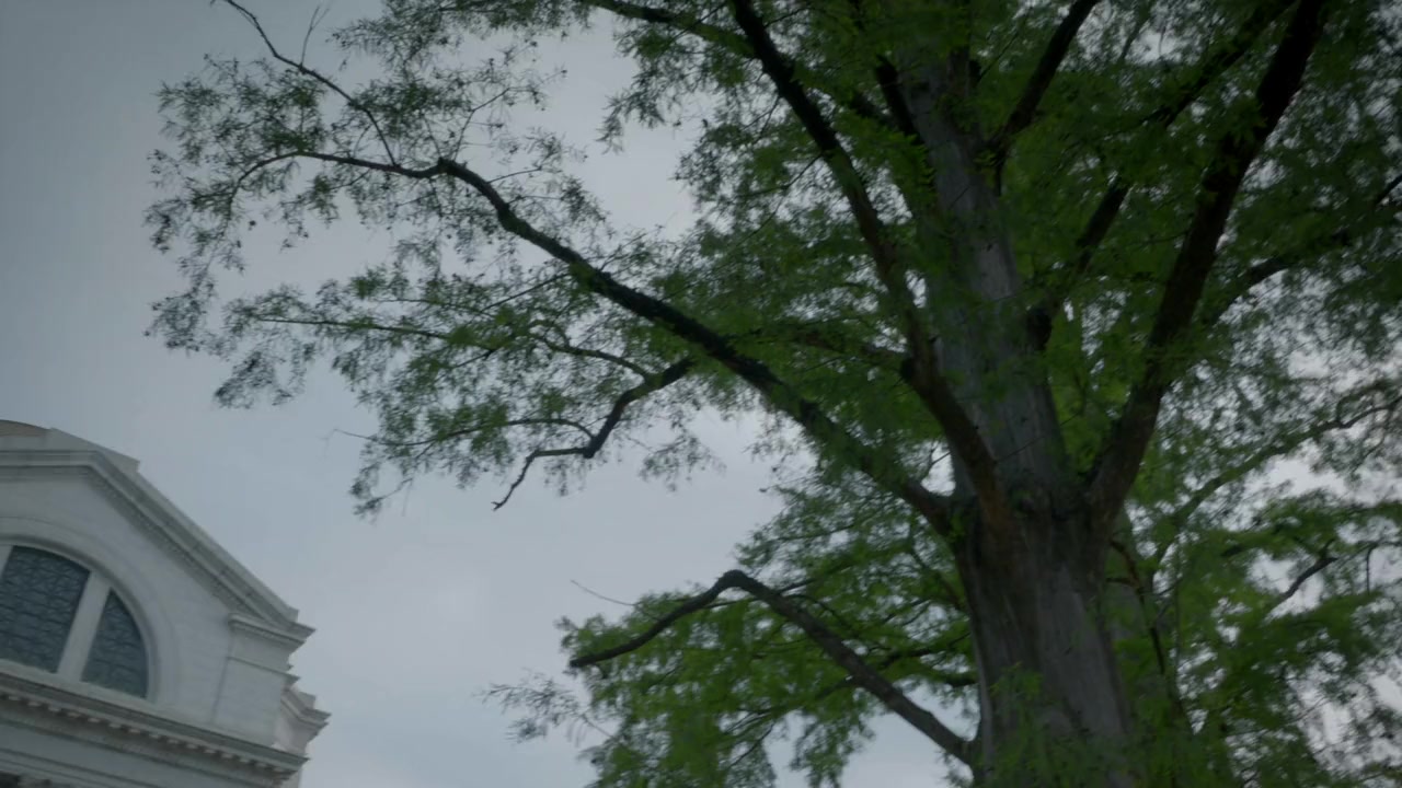 Bird vs. Plane: Miracle on the Hudson screenshot 1