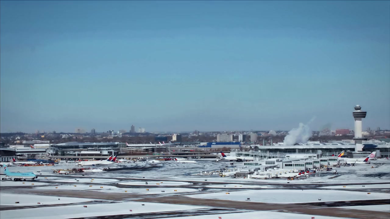 Bird vs. Plane: Miracle on the Hudson screenshot 2