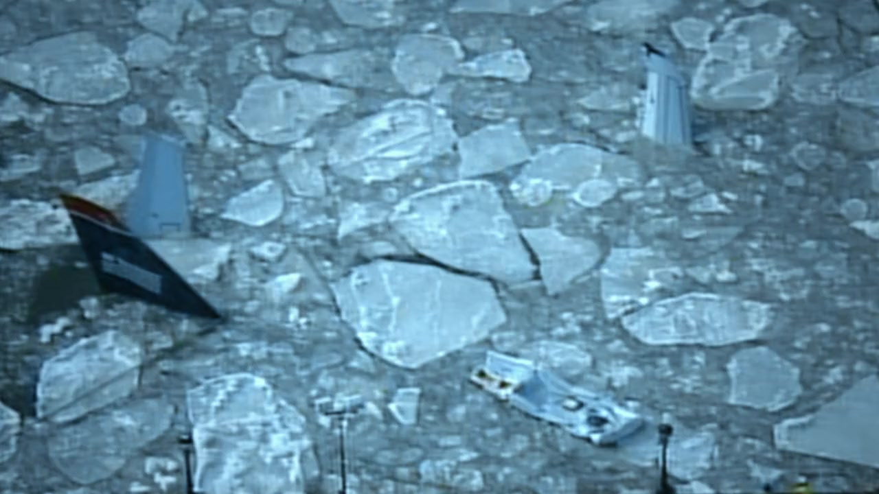 Bird vs. Plane: Miracle on the Hudson screenshot 3