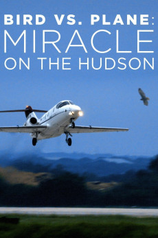 Bird vs. Plane: Miracle on the Hudson (2018) poster