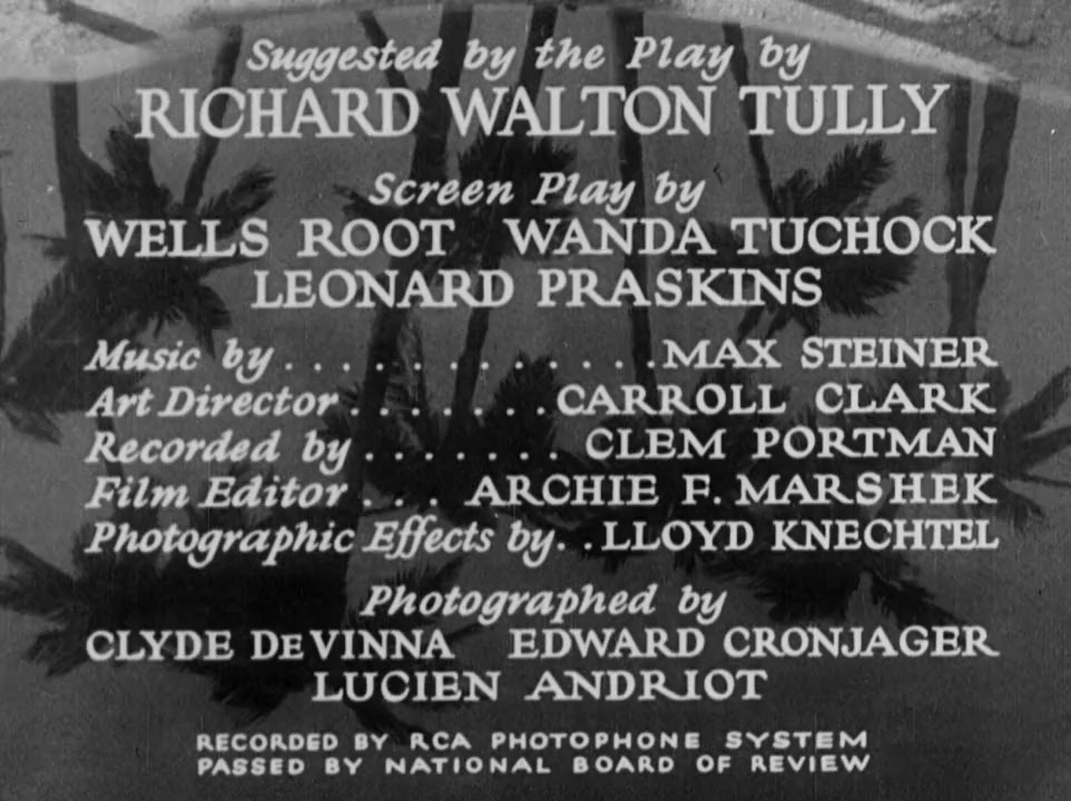 Bird of Paradise screenshot 1