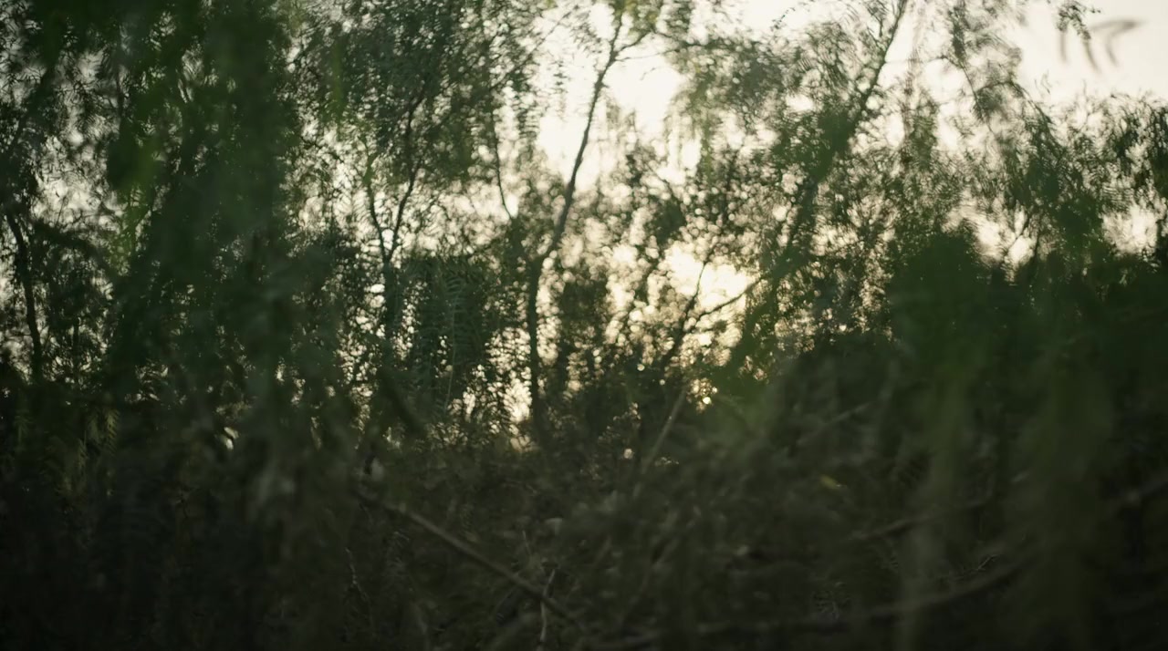 Birders screenshot 2