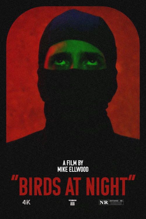 Birds at Night (2023) poster