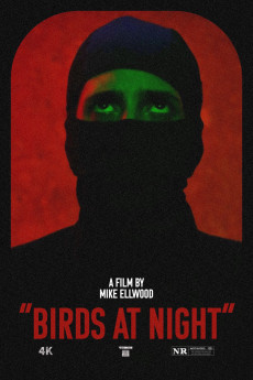 Birds at Night (2023) poster