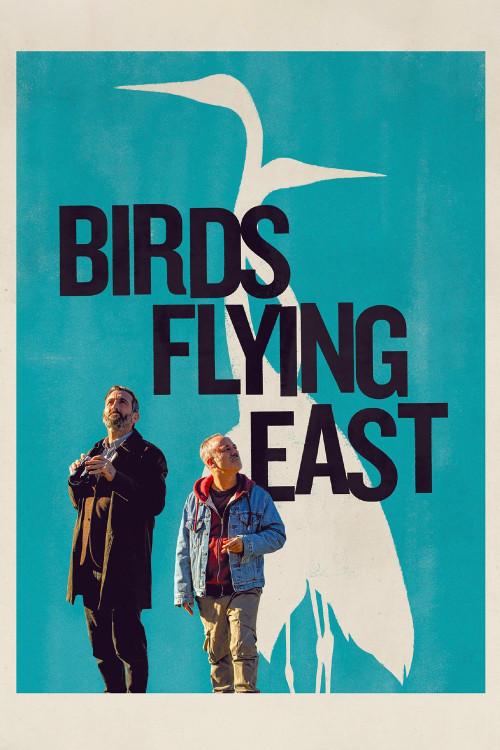 Pájaros (2024) poster