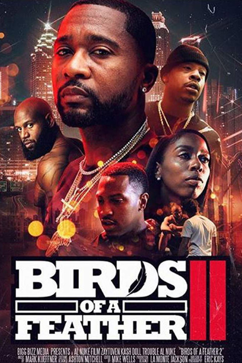Birds of a Feather 2 (2018) poster