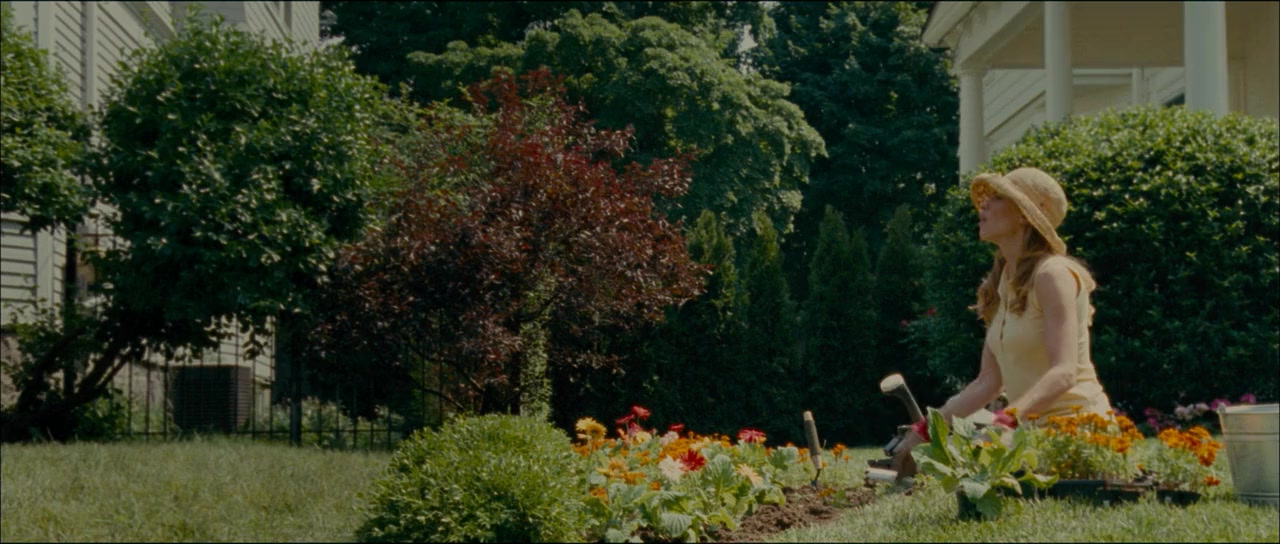 Birds of America screenshot 2