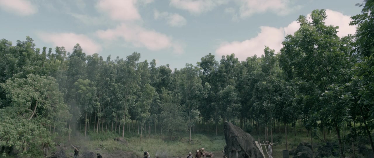 Birdshot screenshot 1