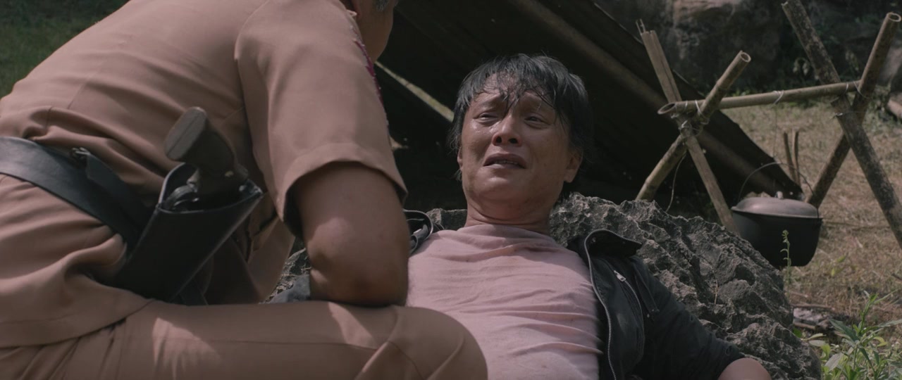 Birdshot screenshot 2