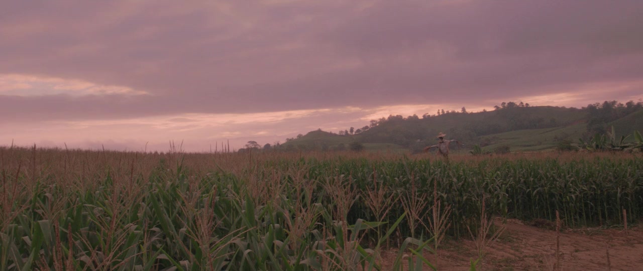 Birdshot screenshot 3