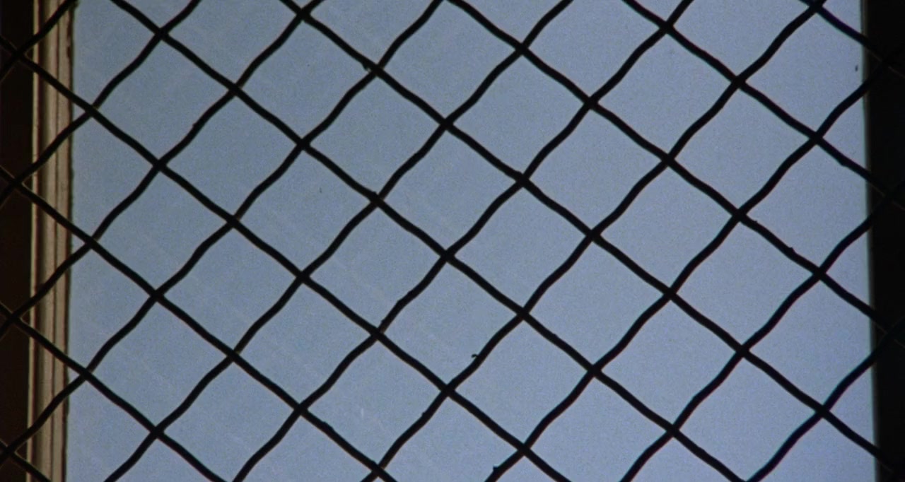 Birdy screenshot 3