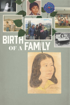 Birth of a Family (2017) poster