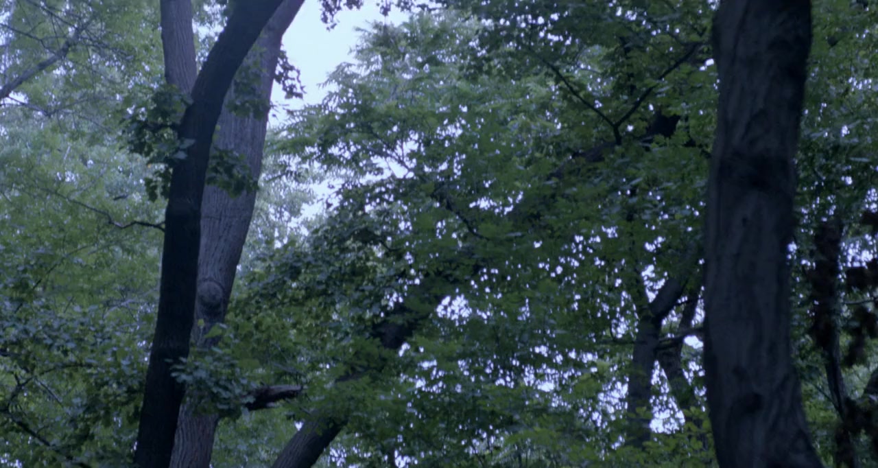Blue Vengeance screenshot 1