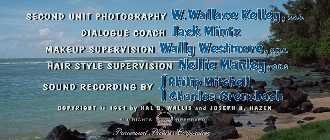 Blue Hawaii screenshot 1