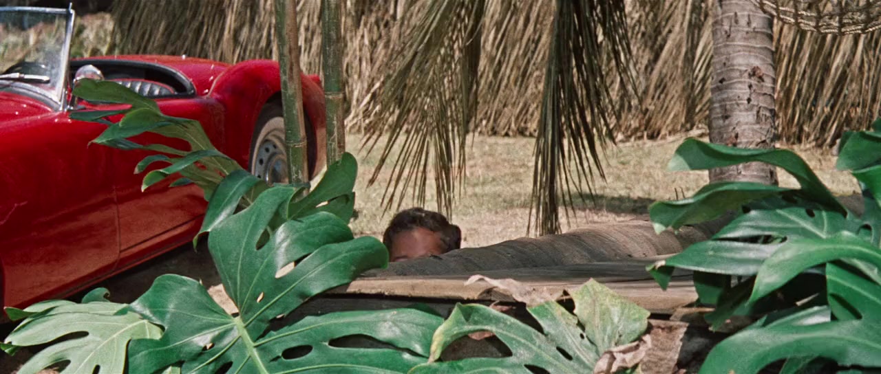 Blue Hawaii screenshot 2