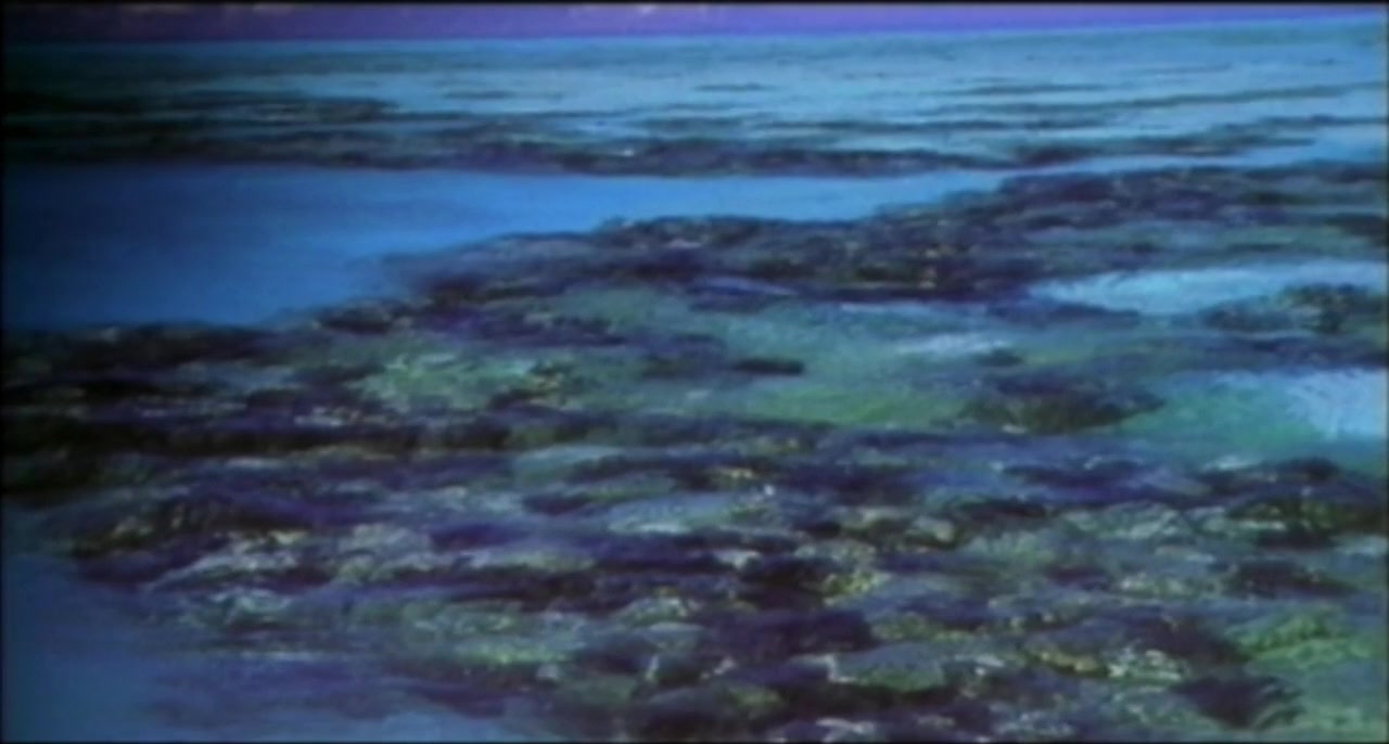 Blue Shark Hash screenshot 2