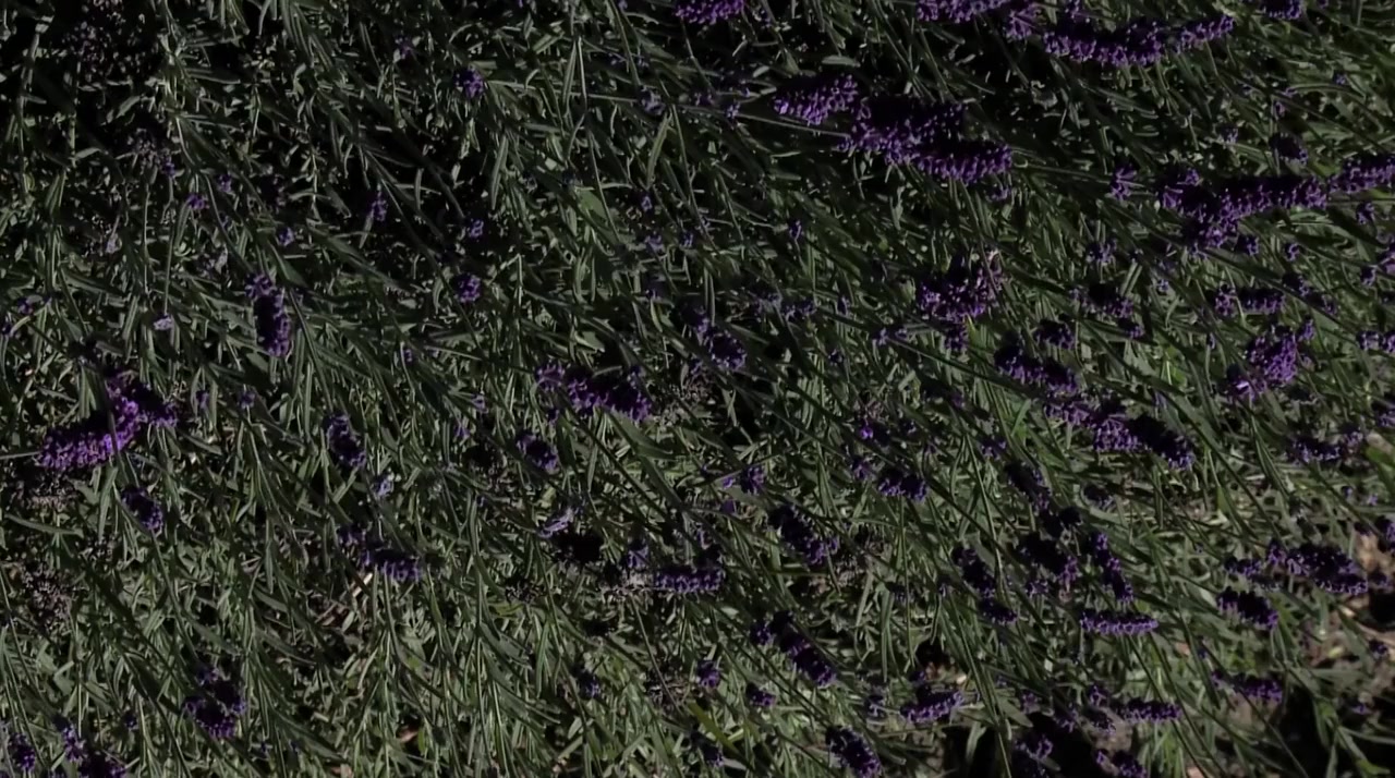 Blue Strait screenshot 1