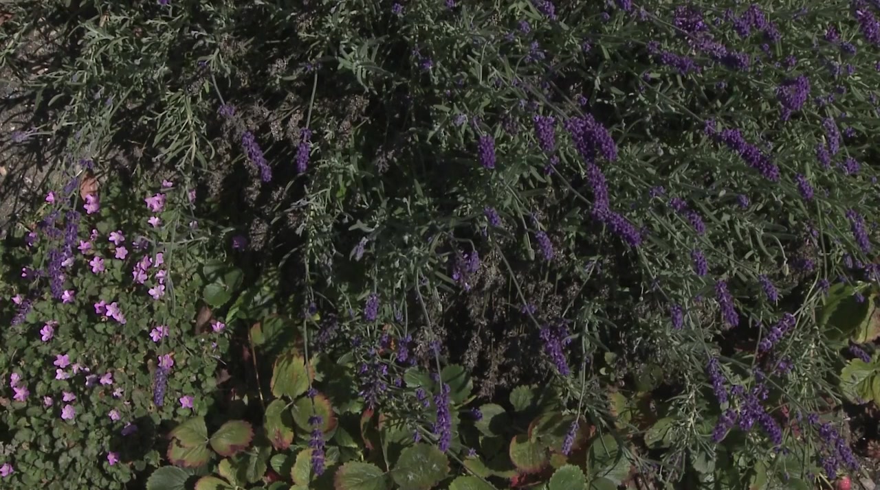 Blue Strait screenshot 2