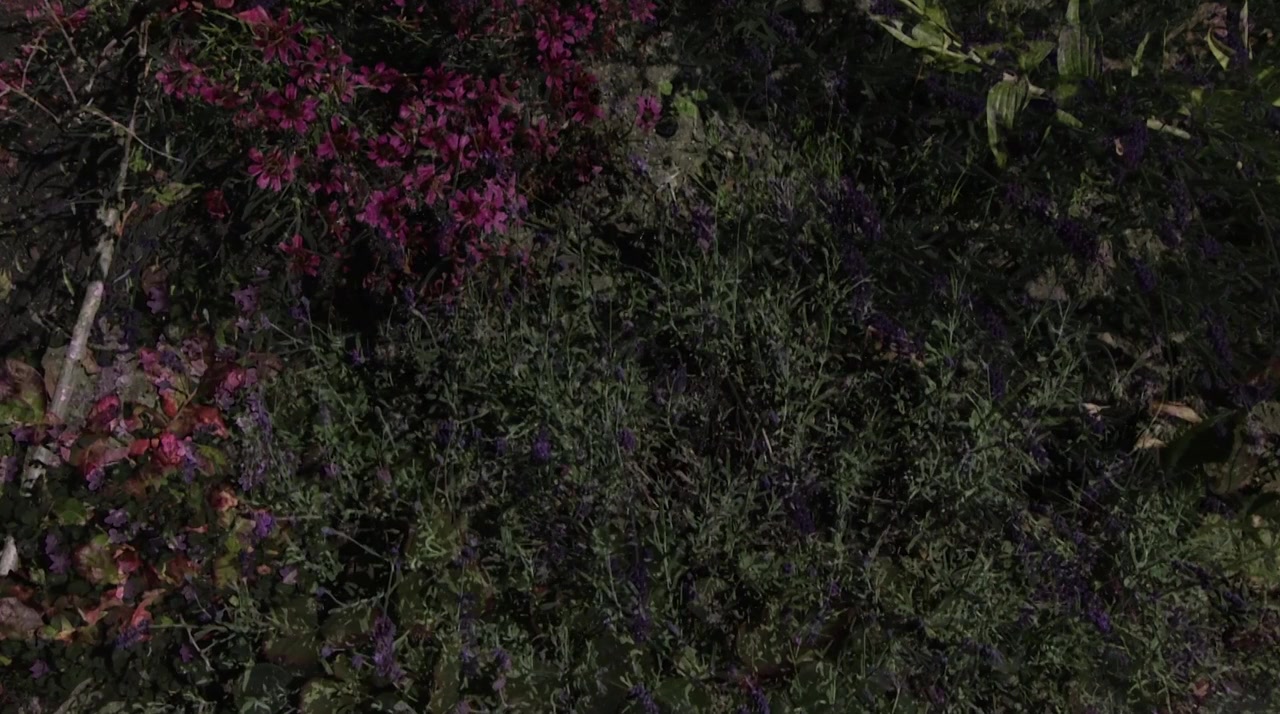 Blue Strait screenshot 3