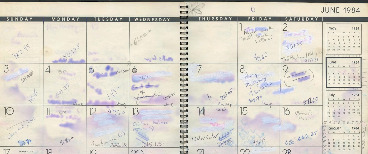 Bluebird screenshot 3