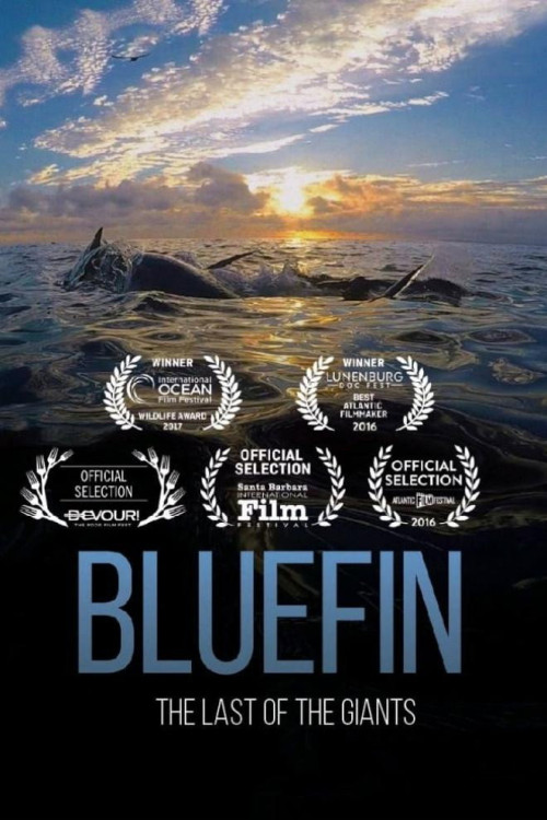 Bluefin (2016) poster