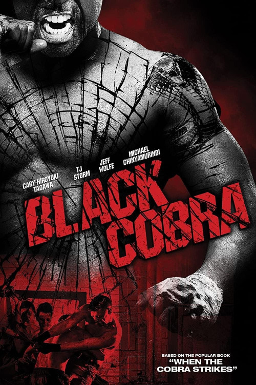 When the Cobra Strikes (2012) poster