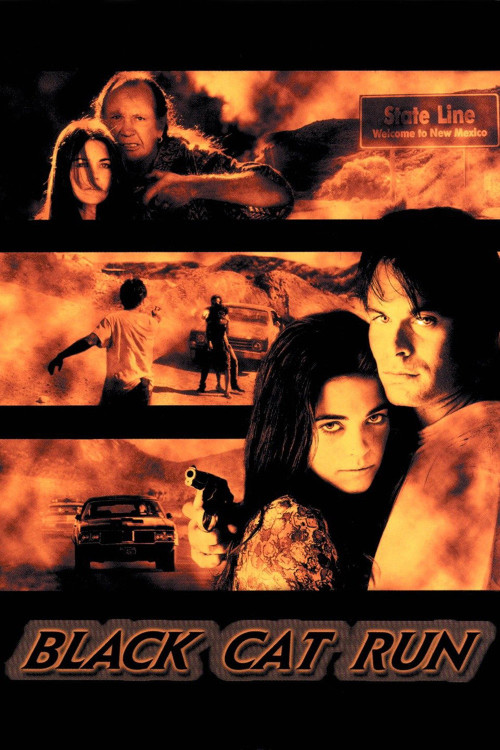 Black Cat Run (1998) poster