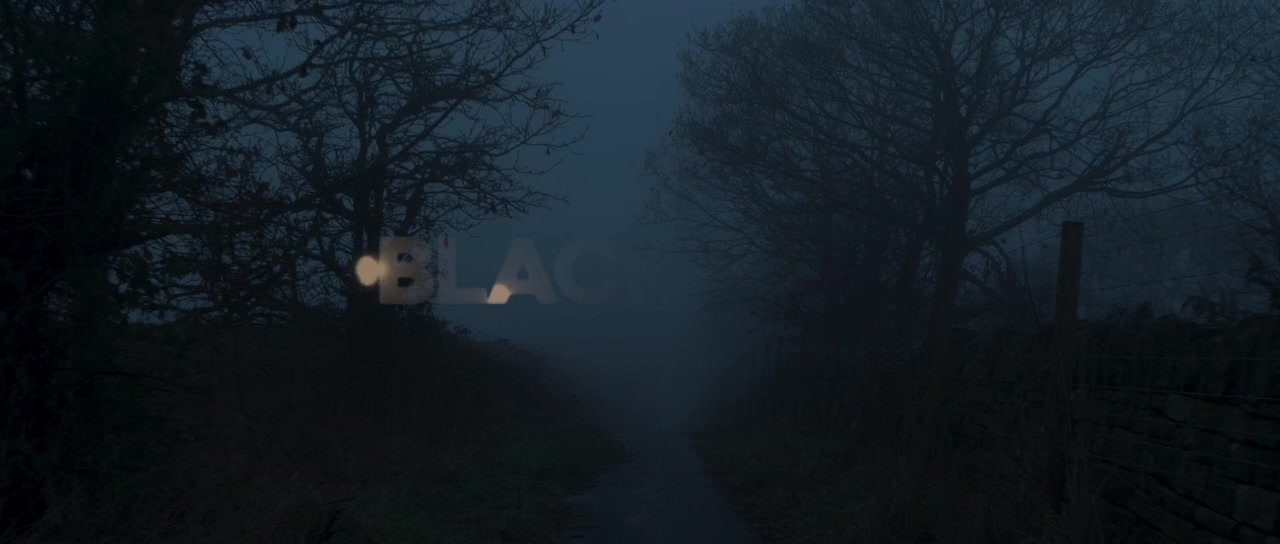 Black Cab screenshot 1