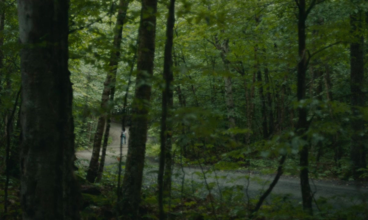 Black Bear screenshot 2