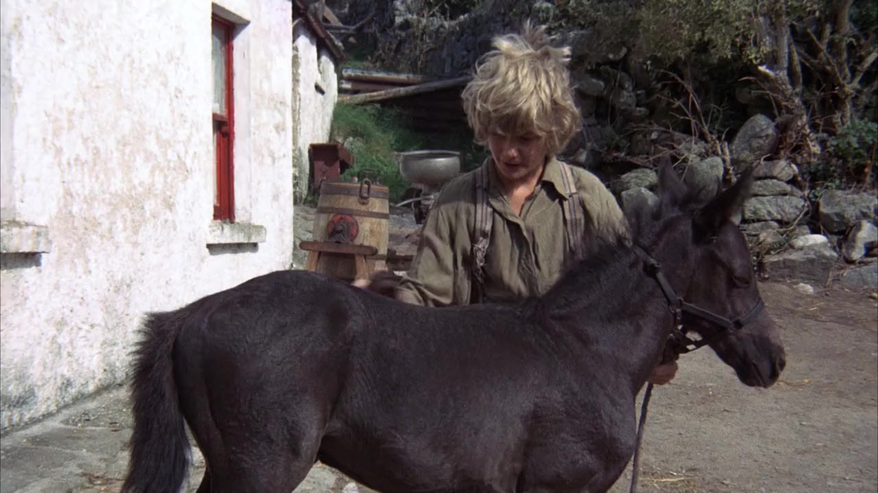 Black Beauty screenshot 2