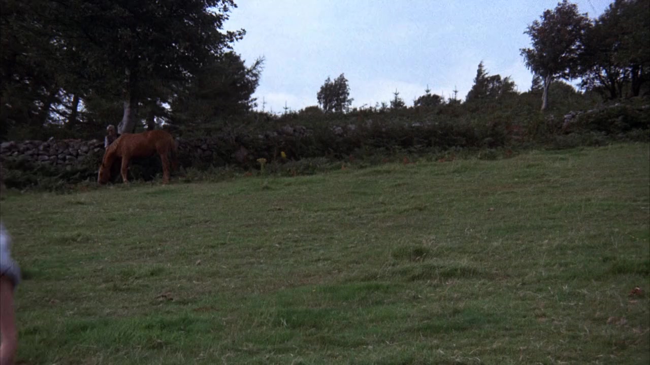 Black Beauty screenshot 3