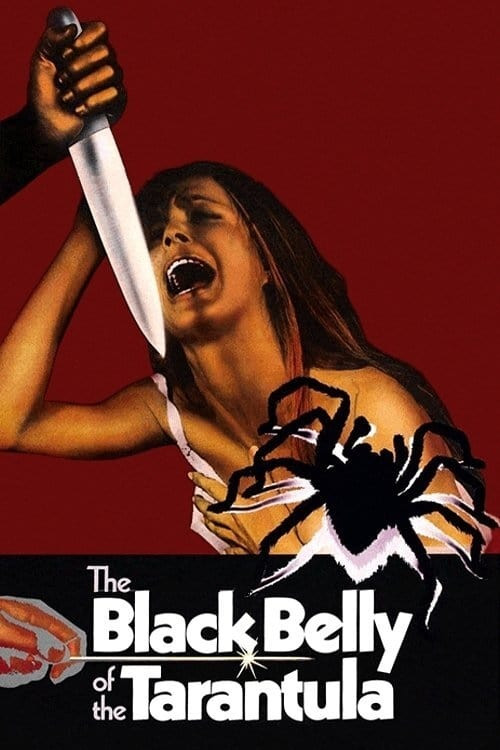 La tarantola dal ventre nero (1971) poster