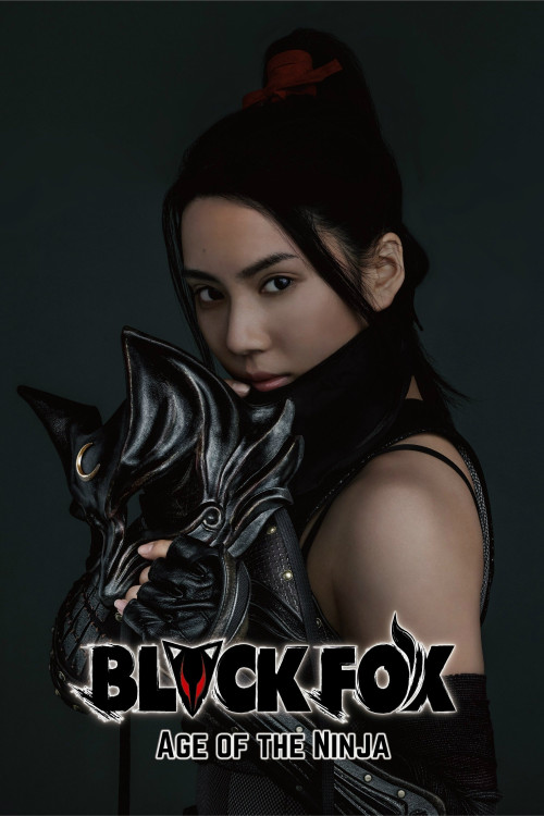 Black Fox: Age of the Ninja (2019) poster