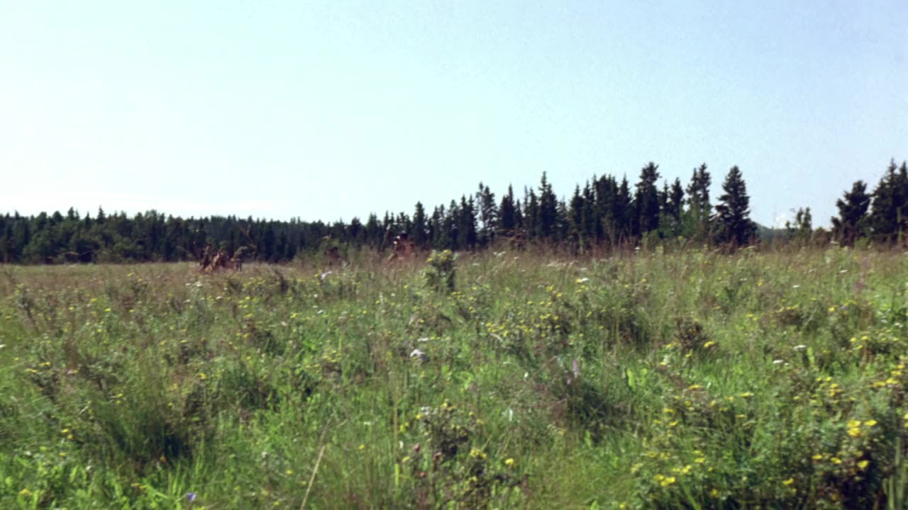 Black Fox screenshot 1