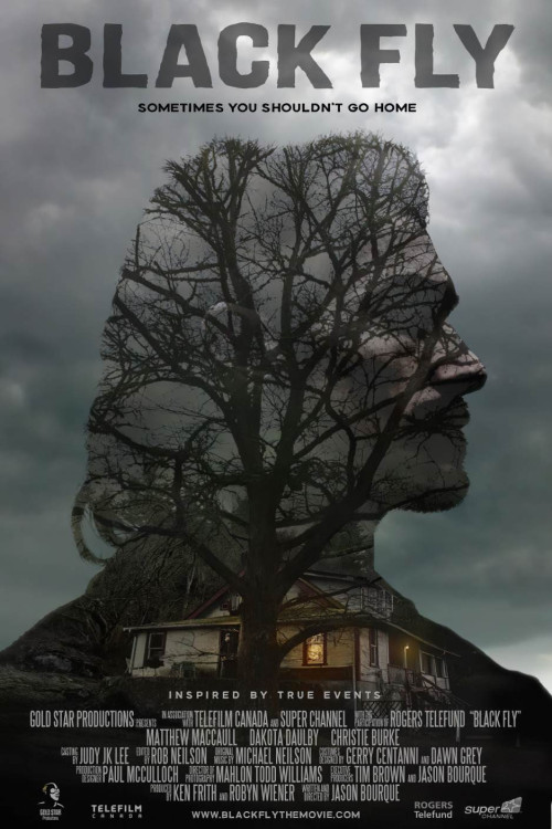 Black Fly (2014) poster