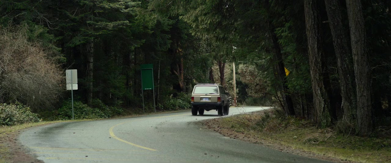 Black Fly screenshot 1
