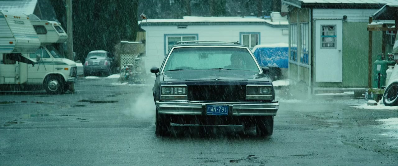 Black Fly screenshot 3