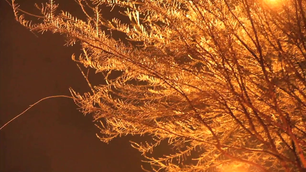 Black Ice Verite screenshot 1
