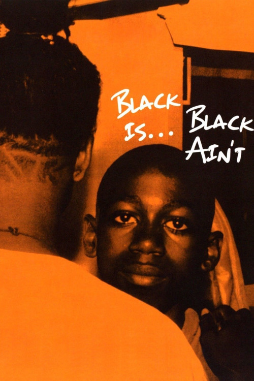 Black Is... Black Ain't (1994) poster