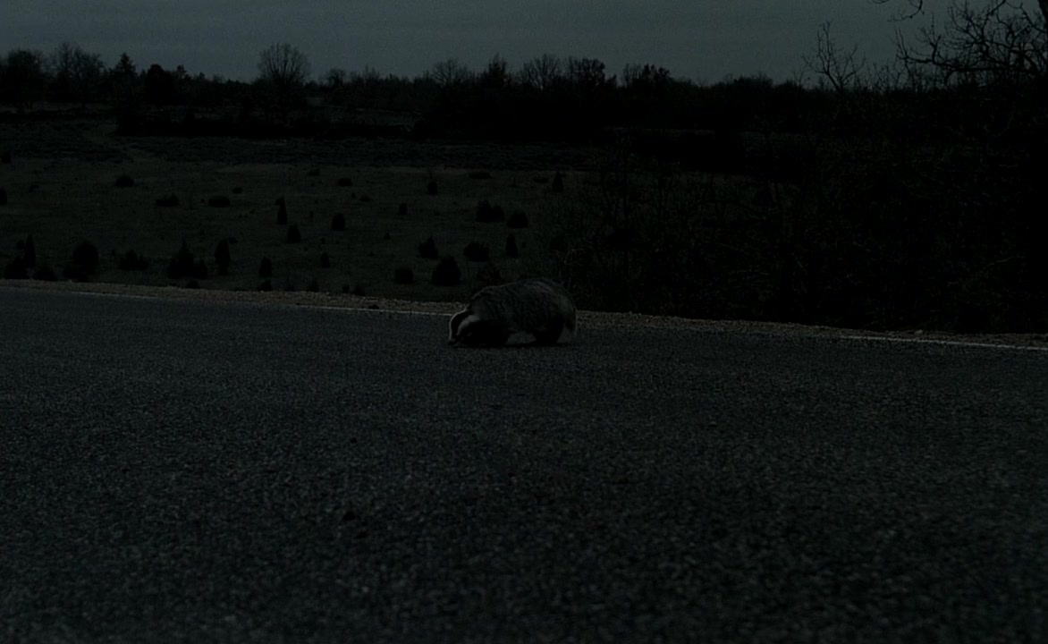 Black Moon screenshot 2