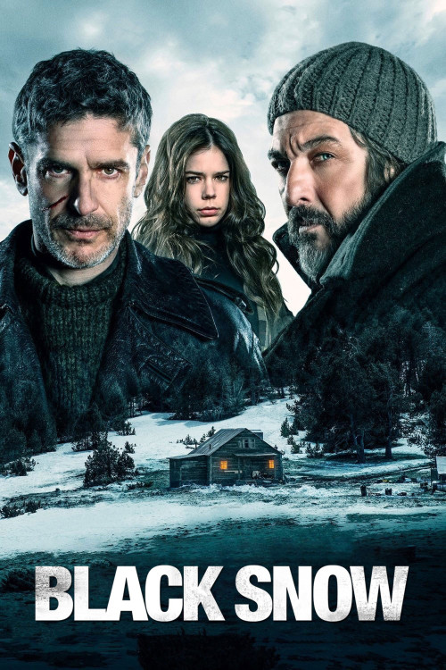 Nieve negra (2017) poster