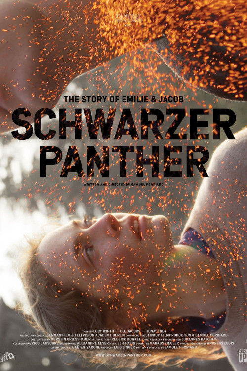 Schwarzer Panther (2014) poster