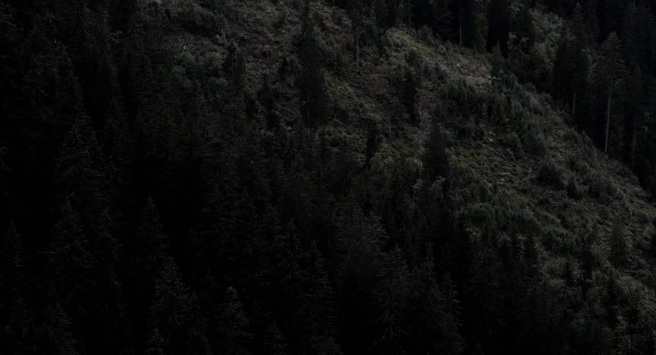 Schwarzer Panther screenshot 1