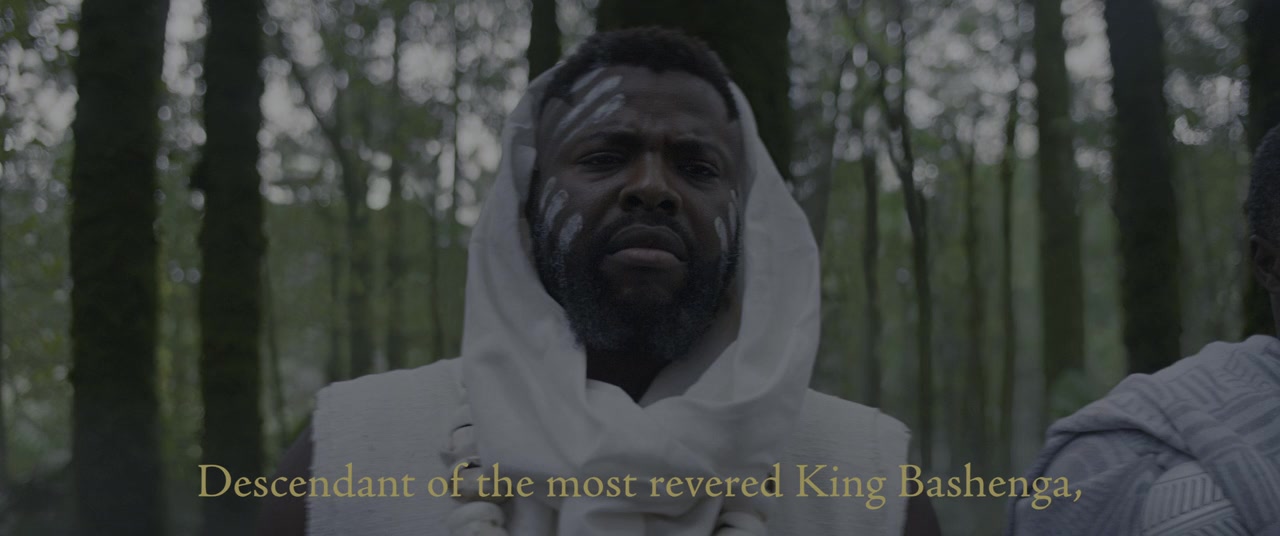 Black Panther: Wakanda Forever screenshot 1