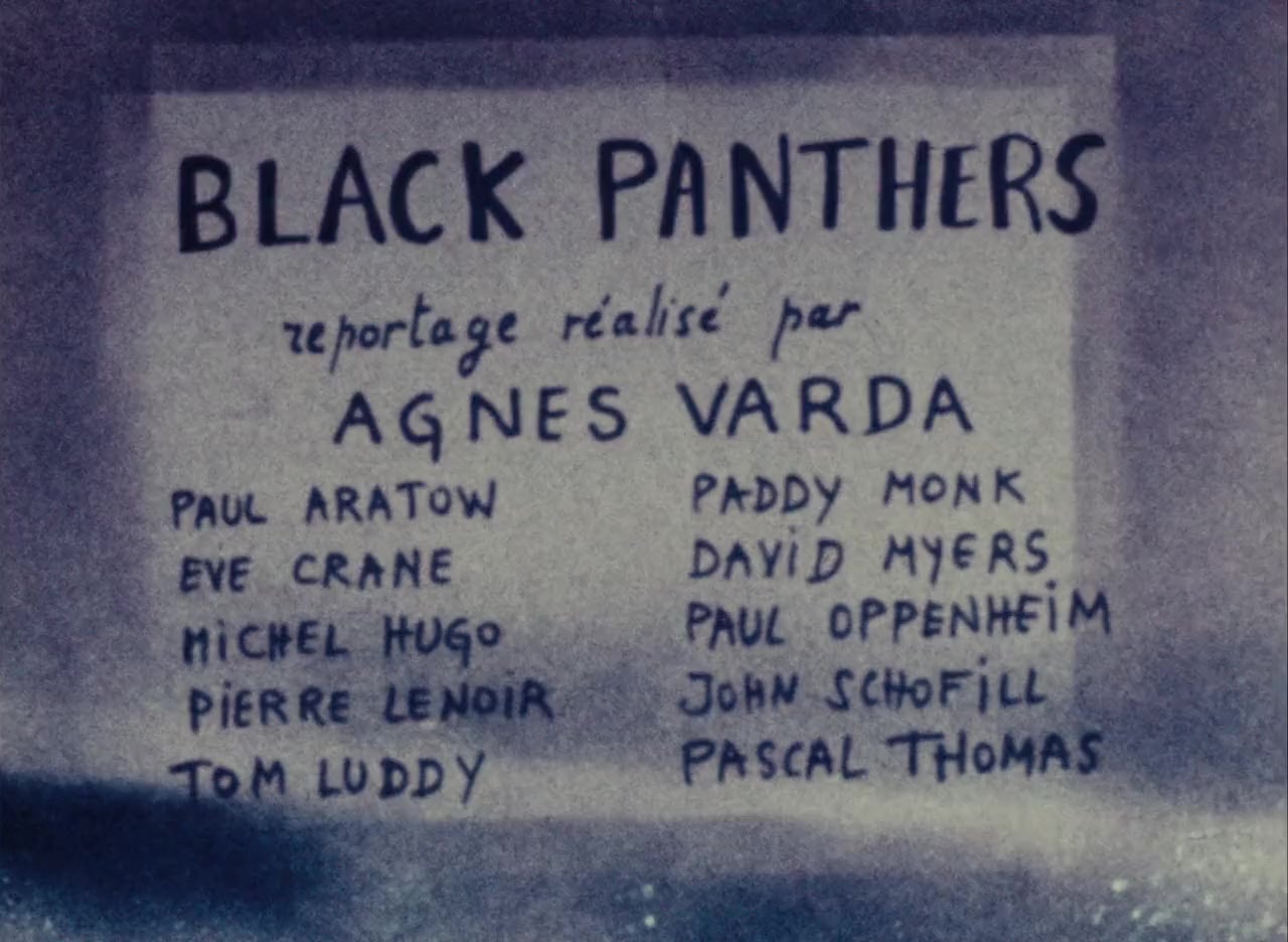 Black Panthers screenshot 1