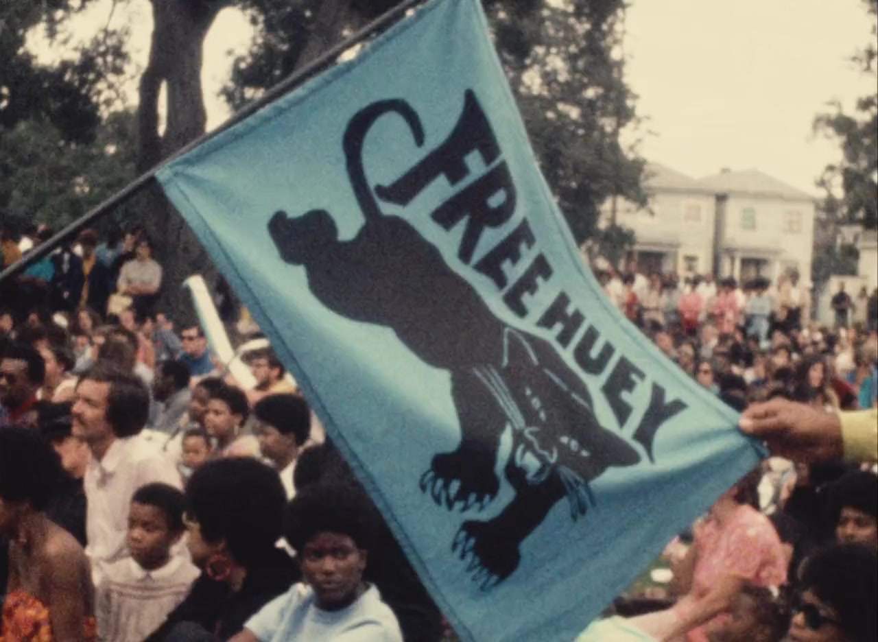 Black Panthers screenshot 2