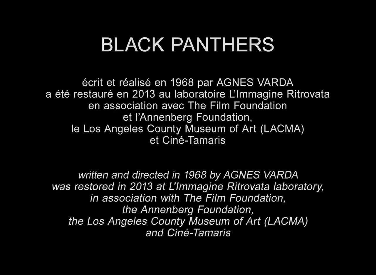 Black Panthers screenshot 3